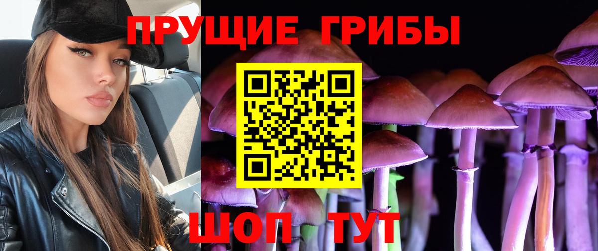 Сарапул  Галлюциногенные грибы MAGIC MUSHROOMS  Галлюциногенные грибы MAGIC MUSHROOMS  Вход с VPN 